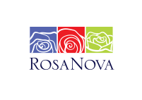 Rosa Nova