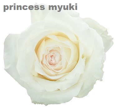 Princess Myuki