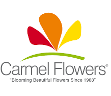 Carmel Flowers